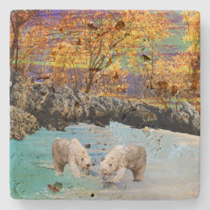 Dessous-de-verre En Pierre Clubs D'Ours Polaires Pêche,
