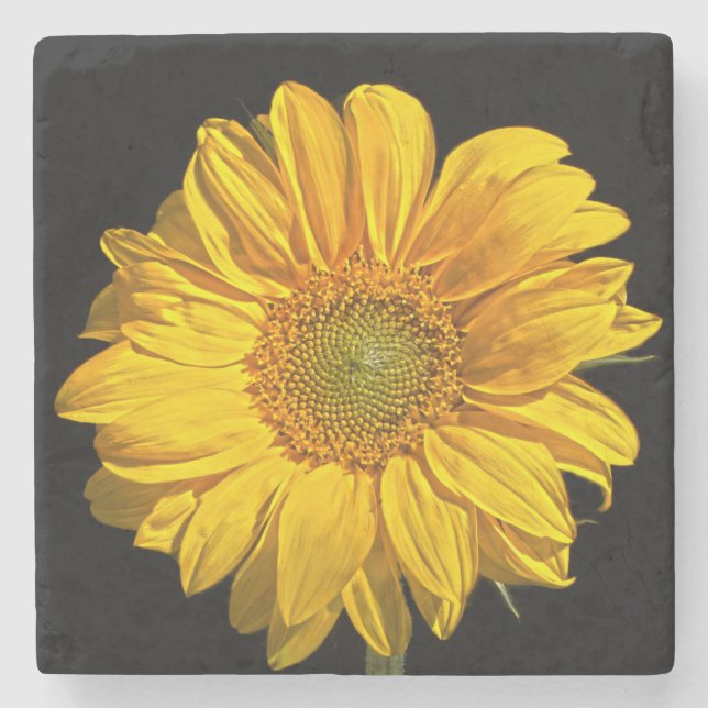 Dessous-de-verre En Pierre Coastère de tournesol (Devant)