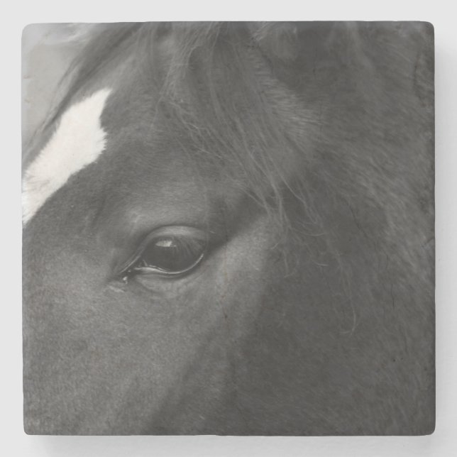 Dessous-de-verre En Pierre Coastère du cheval (Devant)
