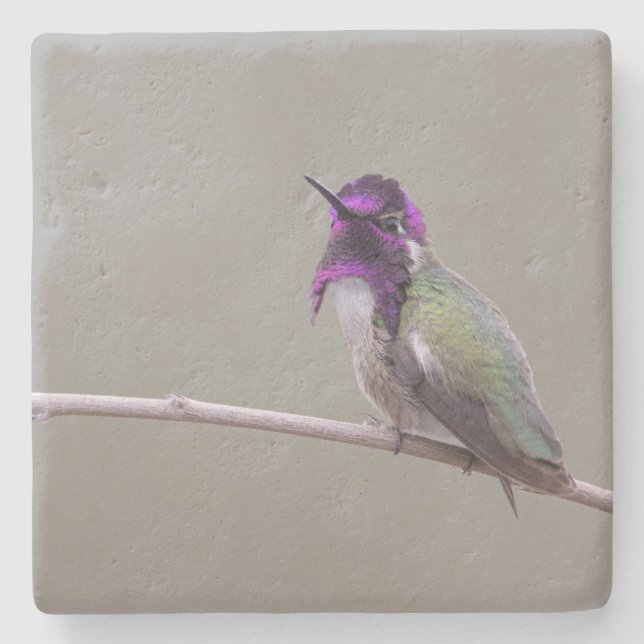 Dessous-de-verre En Pierre Colibri de Costa (Devant)