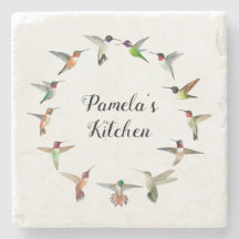 Colibri nord-américain