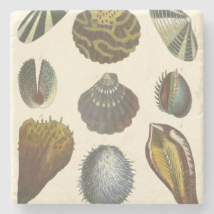 Dessous-de-verre En Pierre Collection Conchology