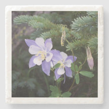 Colorado Columbine Dessous de verre en marbre de 4