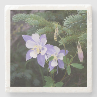 Dessous-de-verre En Pierre Colorado Columbine Dessous de verre en marbre de 4