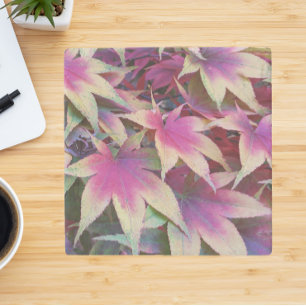 Dessous-de-verre En Pierre Coloré Feuille d'érable d'automne
