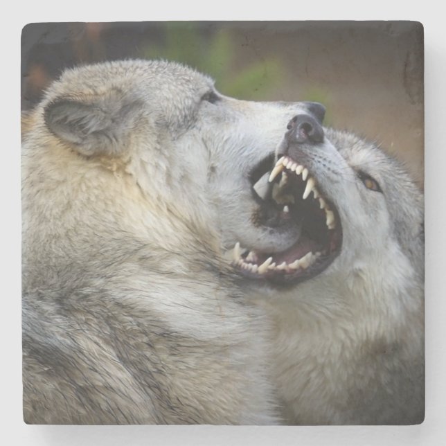 Dessous-de-verre En Pierre Combat de loup (Devant)