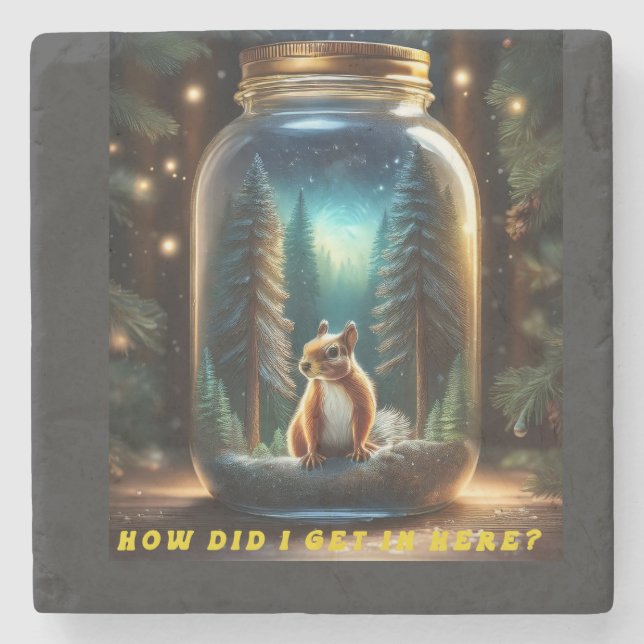 Dessous-de-verre En Pierre Comment L'Écureuil Est-Il Entré En Jar ? (Devant)