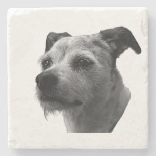 Dessous-de-verre En Pierre Compagnon fidèle – Terrier de Parson Russell