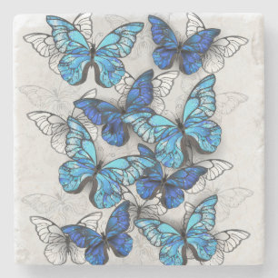 Dessous-de-verre En Pierre Composition de papillons blancs et bleus