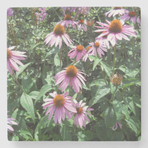 Dessous-de-verre En Pierre Confleurs violets