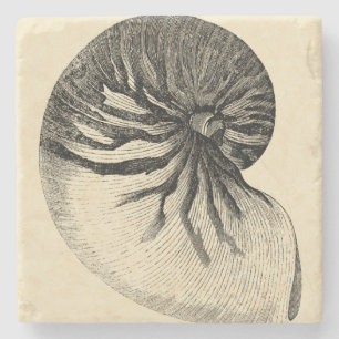 Dessous-de-verre En Pierre Conque noire et blanche vintage Shell