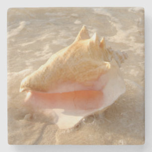 Dessous-de-verre En Pierre Conque Shell en sable sur la plage tropicale