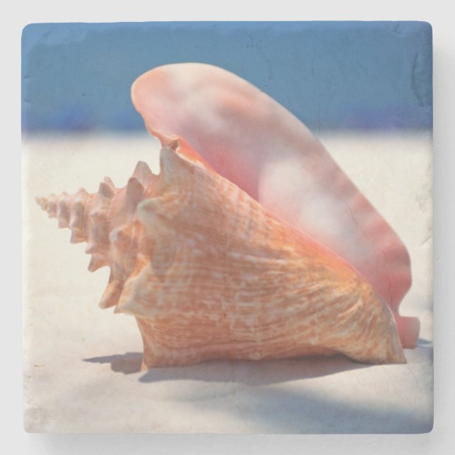 Dessous-de-verre En Pierre Conque Shell sur la plage 2 (Devant)