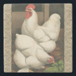 Dessous-de-verre En Pierre Coq & Hen à l'extérieur Hen House avec frontière b<br><div class="desc">Un imprimé d'art rustique présentant un coq vigoureux et une poule dans une maison de poules. La bordure foncée ecru est motif est constituée d'éléments en spirale. Ce tirage serait un grand ajout à une décoration de maison de campagne rurale.</div>