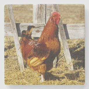 Dessous-de-verre En Pierre Coq Rhode Island Red