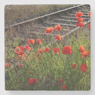 Dessous-de-verre En Pierre Coquelicot sauvage