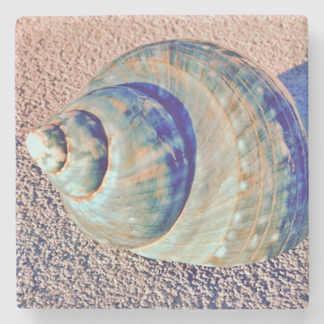 Dessous-de-verre En Pierre Coquillage de Welk de mer (Devant)