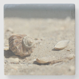 Dessous-de-verre En Pierre Coquillages sur le sable par la mer