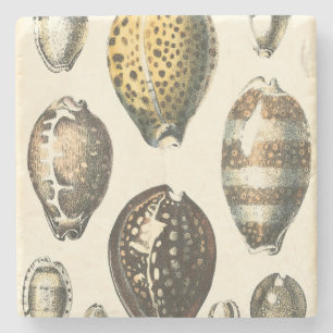 Dessous-de-verre En Pierre Coquillages uniquement formés