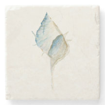 Coquille aquarelle