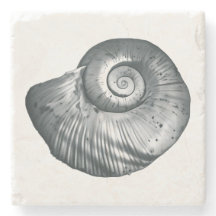 Coquille d'escargot