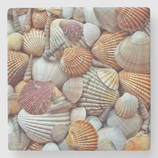 Dessous-de-verre En Pierre Coquilles de mer (Devant)