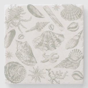 Dessous-de-verre En Pierre Coquilles de mer gris sauge doux croquis Antique N