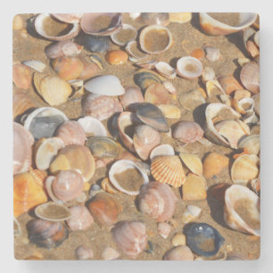 Dessous-de-verre En Pierre Coquilles sur une plage sablonneuse Andalousie,