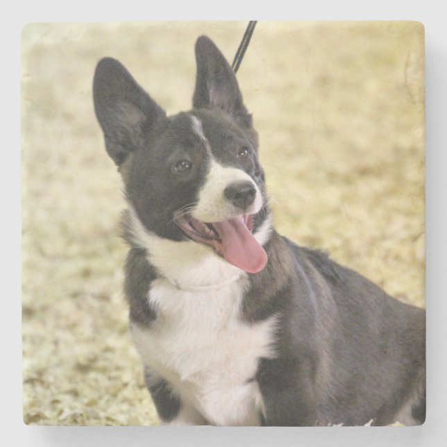 Dessous-de-verre En Pierre Corgi (Devant)