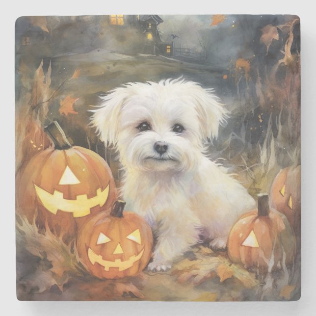 Dessous-de-verre En Pierre Coton De Tulear Halloween Avec Peur Citrouille (Devant)