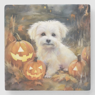 Dessous-de-verre En Pierre Coton De Tulear Halloween Avec Peur Citrouille