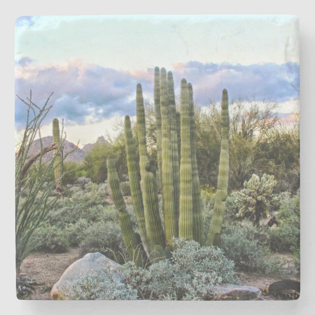 Dessous-de-verre En Pierre Coucher de soleil succulent de Scottsdale (Devant)