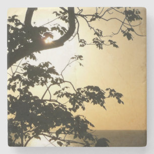 Dessous-de-verre En Pierre Coucher du soleil à travers les arbres II Photogra