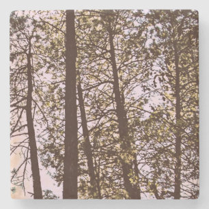 Dessous-de-verre En Pierre Couleur par les arbres
