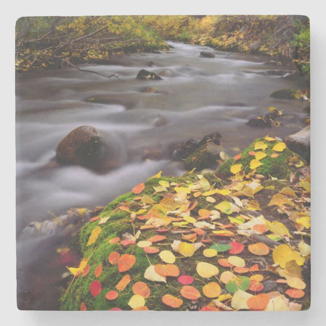 Dessous-de-verre En Pierre Couleurs d'automne le long de McGee Creek (Devant)