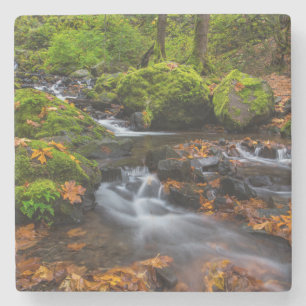 Dessous-de-verre En Pierre Couleurs d'automne le long des chutes de Starvatio