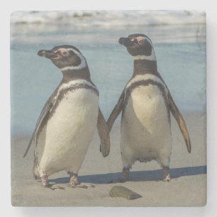 Dessous-de-verre En Pierre Couple de manchots sur la plage
