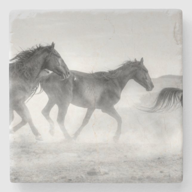 Dessous-de-verre En Pierre Course de mustang (Devant)