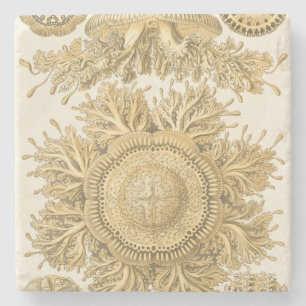 Dessous-de-verre En Pierre Créatures d'or de mer