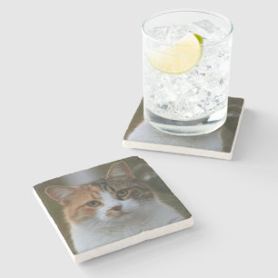 Dessous-de-verre En Pierre Créez Votre Propre Photo de Chat Personnalisée
