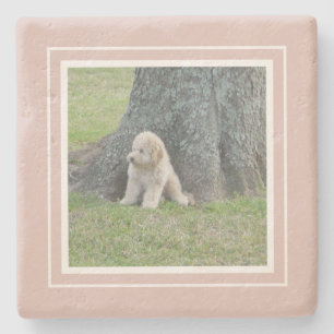 Dessous-de-verre En Pierre Créez Votre Propre Photo Ferme Rose & Blanc