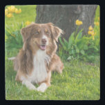 Dessous-de-verre En Pierre Créez votre propre photo personnalisée<br><div class="desc">Concevez votre propre Dessous de verre photo personnalisé en pierre</div>