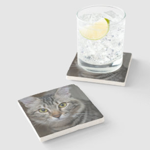 Dessous-de-verre En Pierre Créez Votre Propre Photo Personnalisée de Chat de