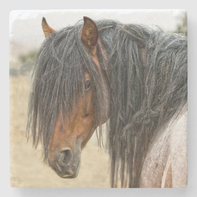 Dessous-de-verre En Pierre Crinière de cheval (Devant)