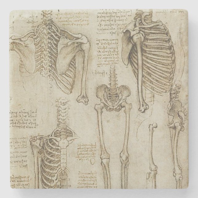 Dessous-de-verre En Pierre Croquis squelettiques humains de l'anatomie de da (Devant)