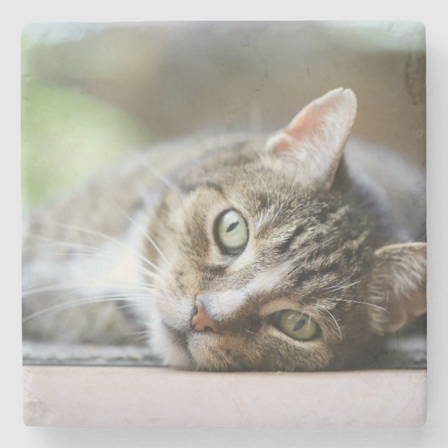 Dessous-de-verre En Pierre Custom Cat Photo Pet Lover Gift (Devant)