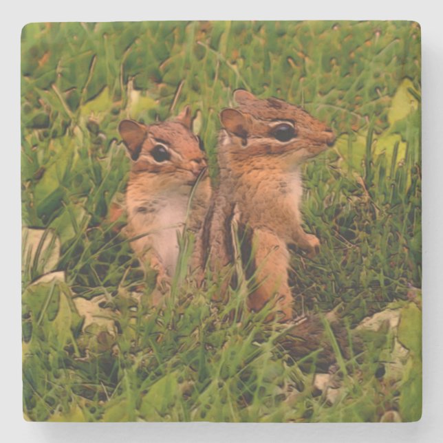Dessous-de-verre En Pierre Cute Baby Chipmunks Animal Art (Devant)