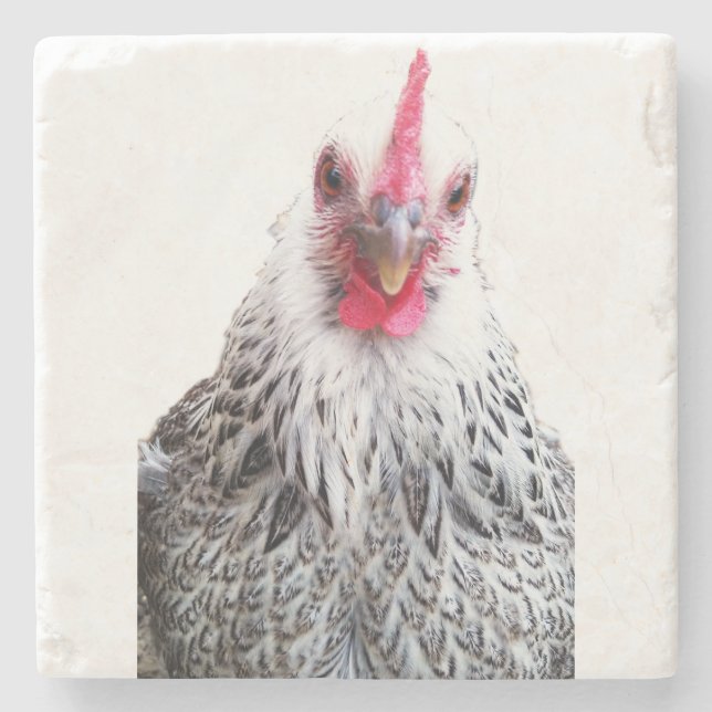 Dessous-de-verre En Pierre Cute Bantam Cochin Hen Photo Stone Coaster (Devant)