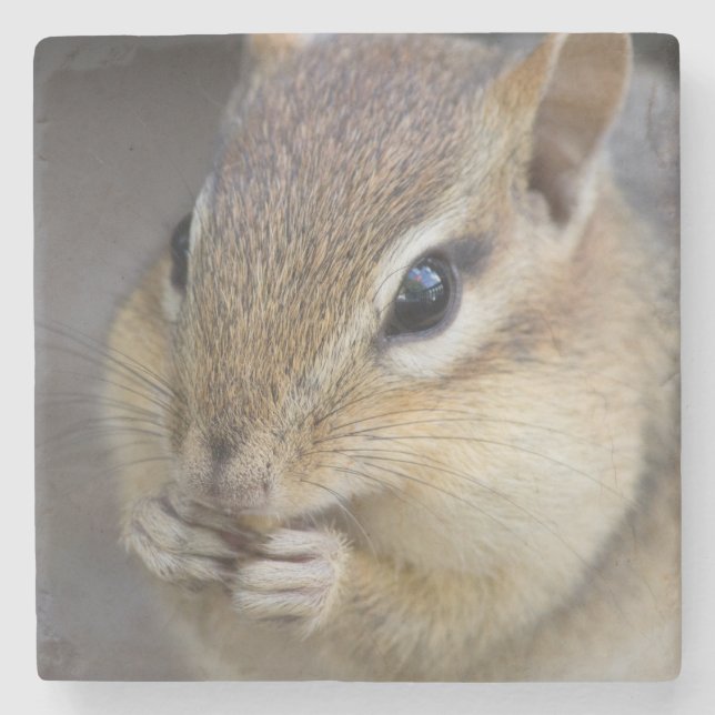 Dessous-de-verre En Pierre Cute chipmunk (Devant)