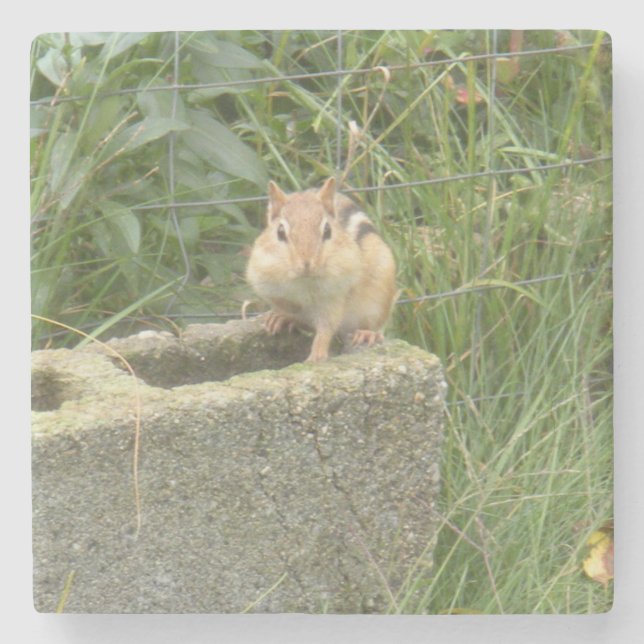 Dessous-de-verre En Pierre Cute Chipmunk (Devant)